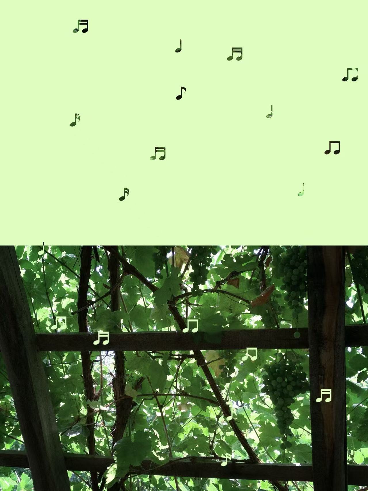音符与葡萄架的夏日画面