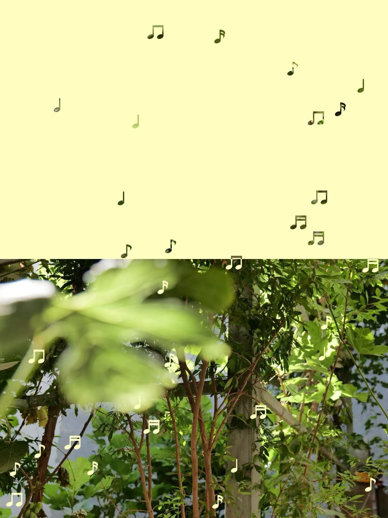 音符与庭院绿意的夏日画面