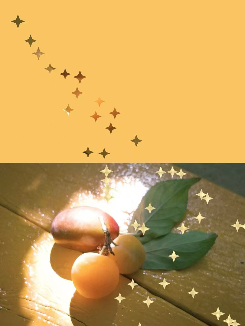 阳光下的果实与星光装饰